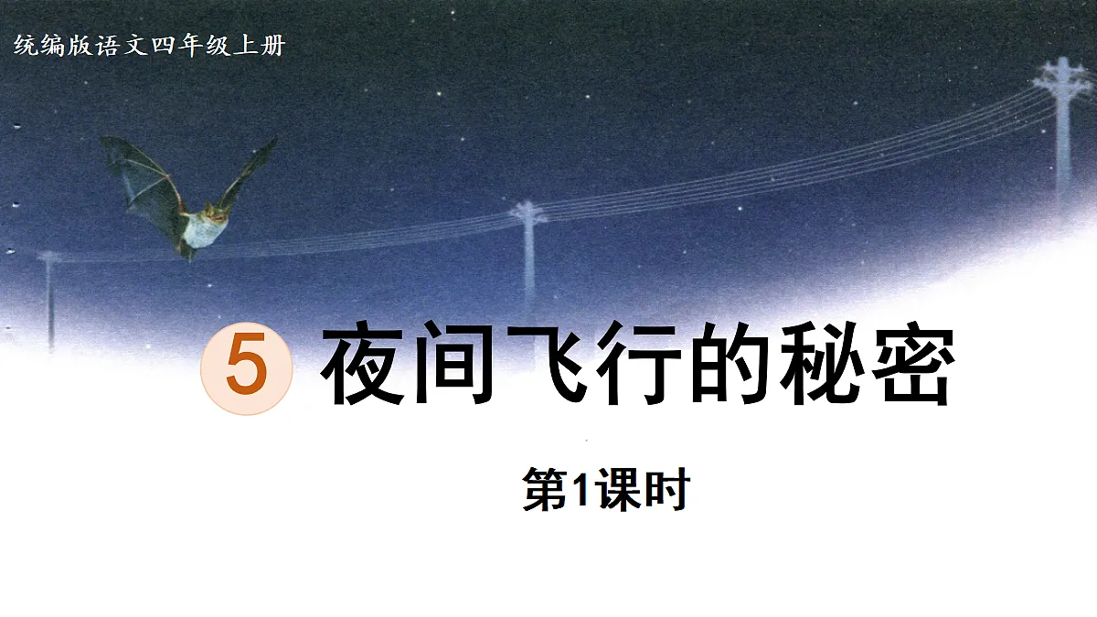 【教学课件】5《夜间飞行的秘密》第1课时第1页