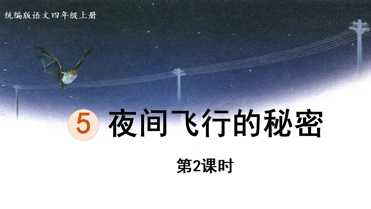 【教学课件】5《夜间飞行的秘密》第2课时第1页