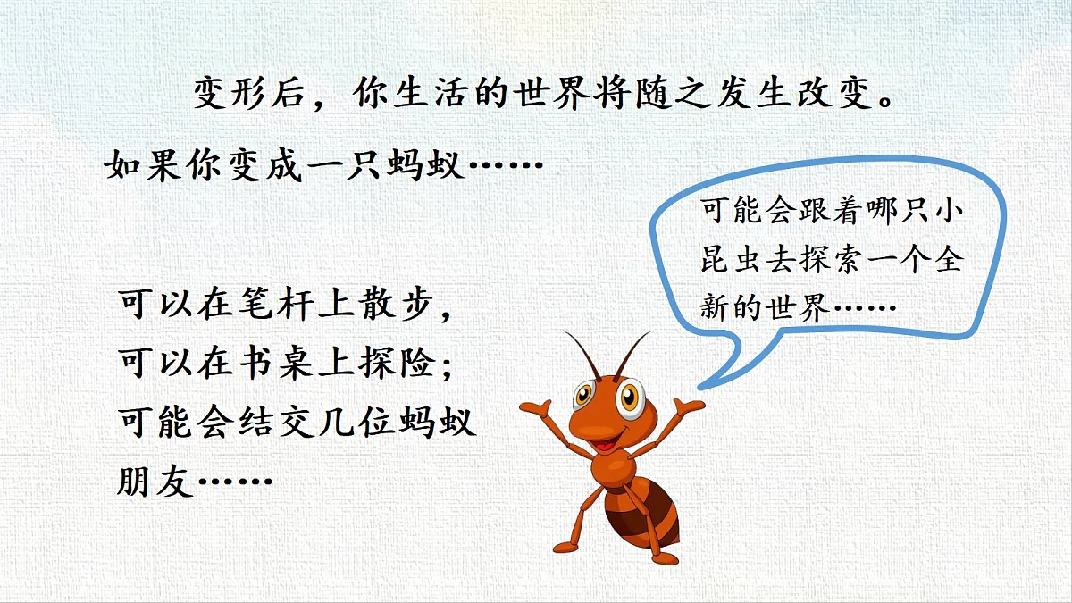 18651142第4页