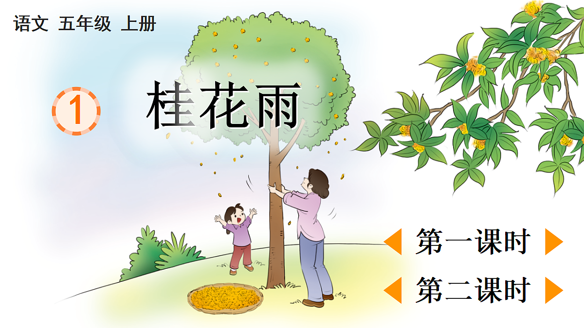 1 桂花雨【精华版】第1页