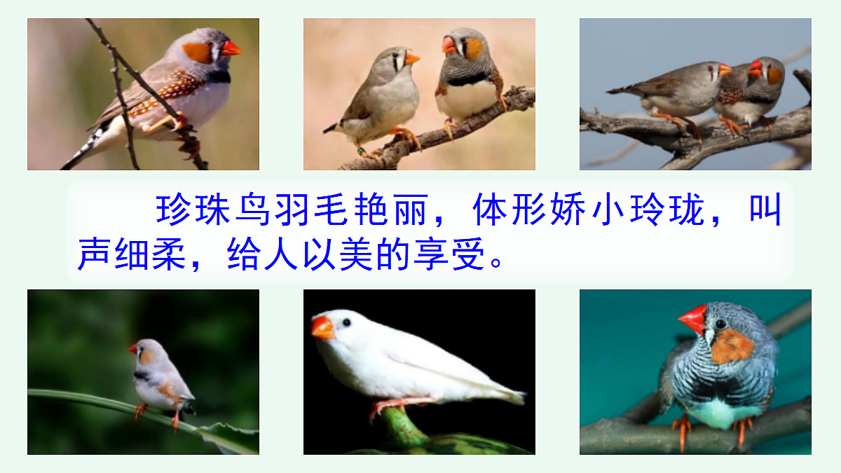 18651674第2页