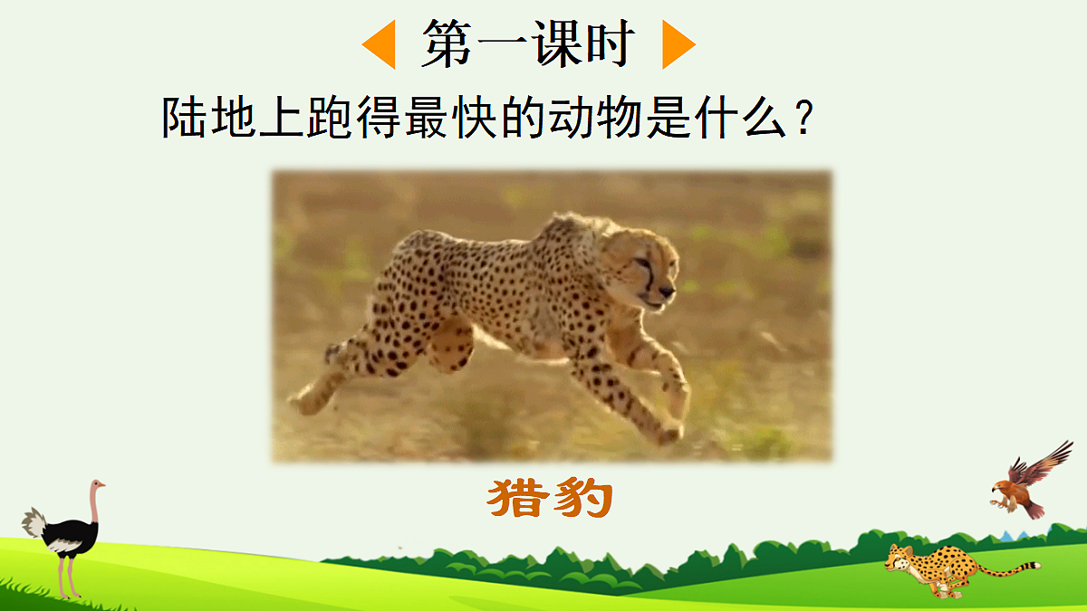 6 什么比猎豹的速度更快【精华版】第2页