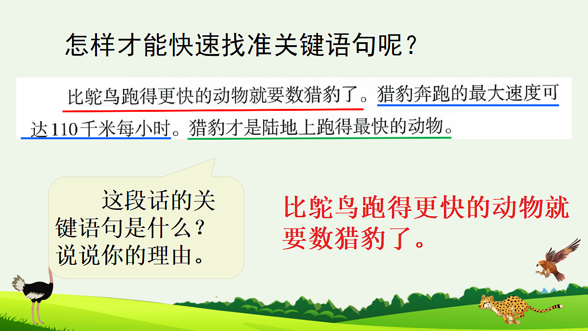 6 什么比猎豹的速度更快【精华版】第7页