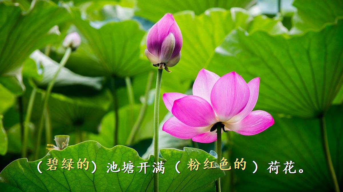 18651888第4页