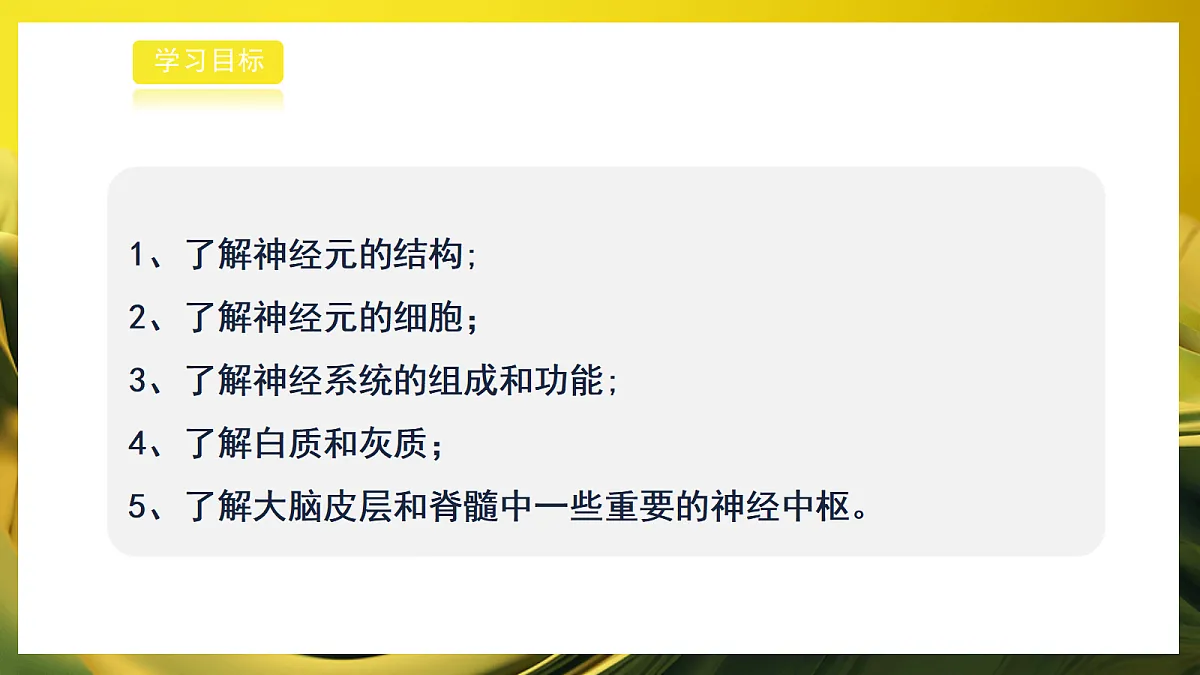2026浙教版九上科学 3.1 神经调节(2)第2页