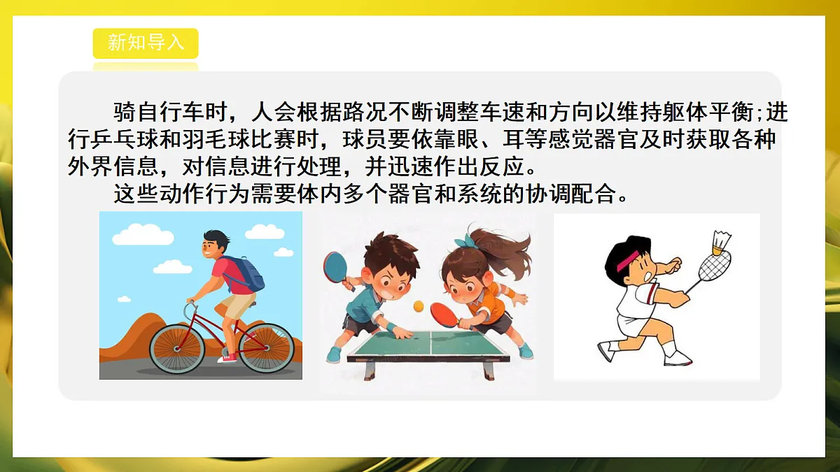 2026浙教版九上科学 3.1 神经调节(2)第3页