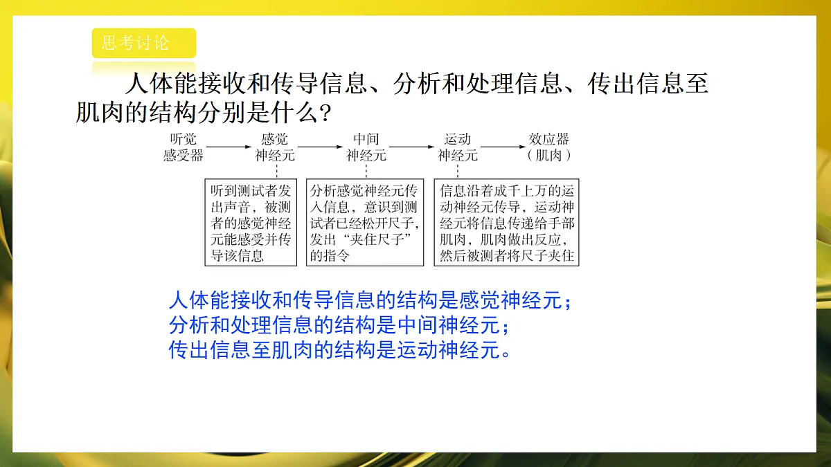 2026浙教版九上科学 3.1 神经调节(2)第8页