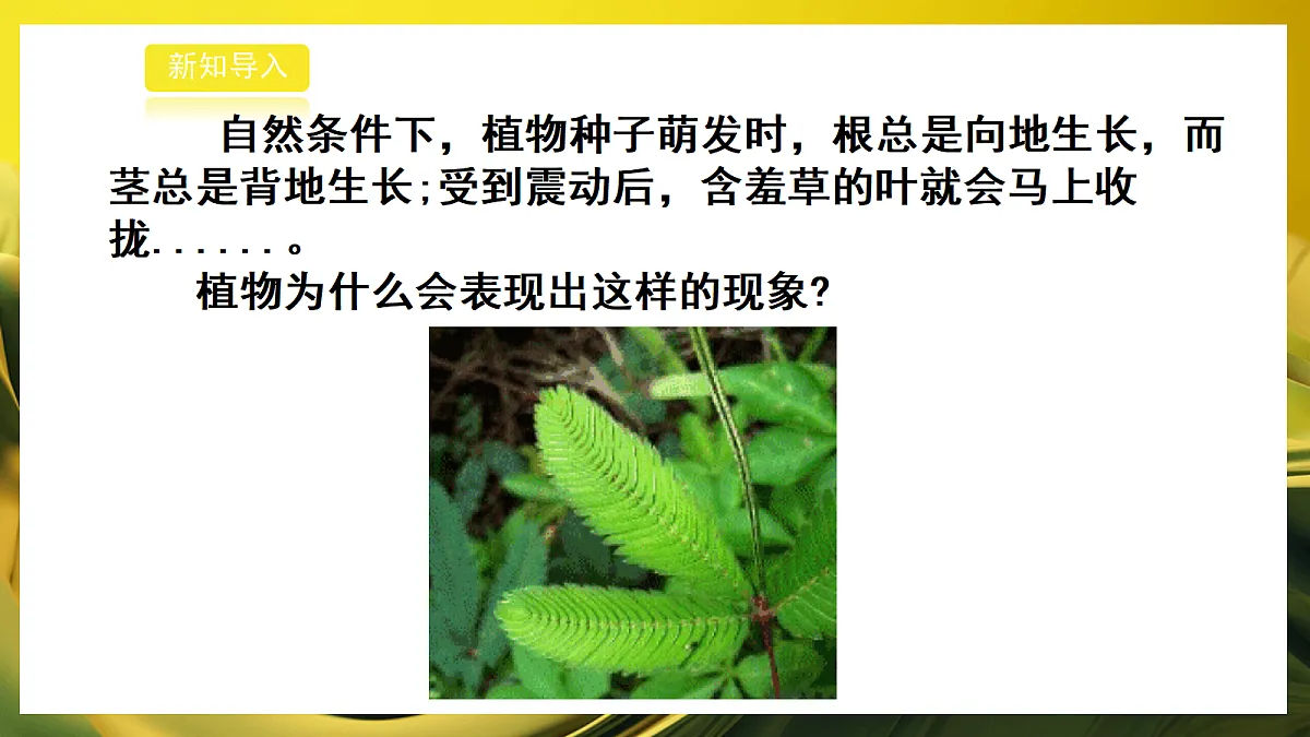 2026浙教版九上科学 3.3 动物行为和植物的感应性(2)第3页
