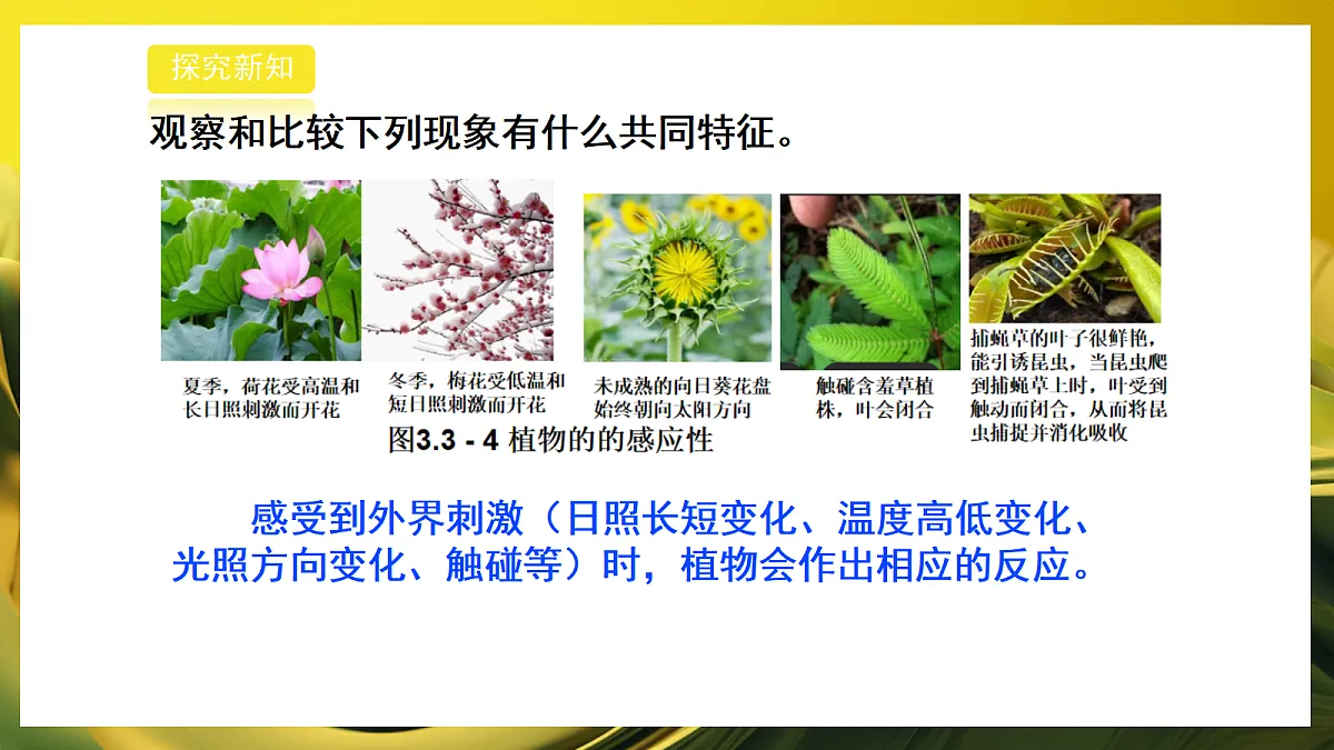 2026浙教版九上科学 3.3 动物行为和植物的感应性(2)第4页
