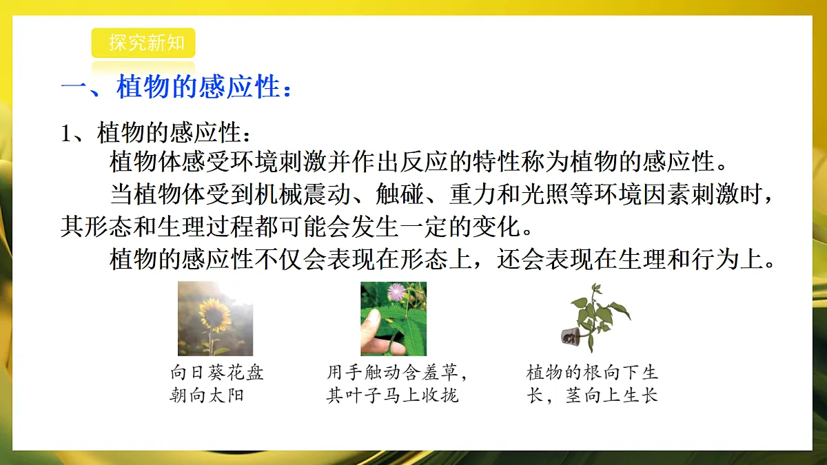 2026浙教版九上科学 3.3 动物行为和植物的感应性(2)第5页