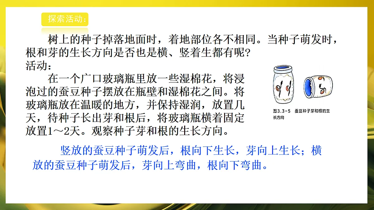 2026浙教版九上科学 3.3 动物行为和植物的感应性(2)第6页