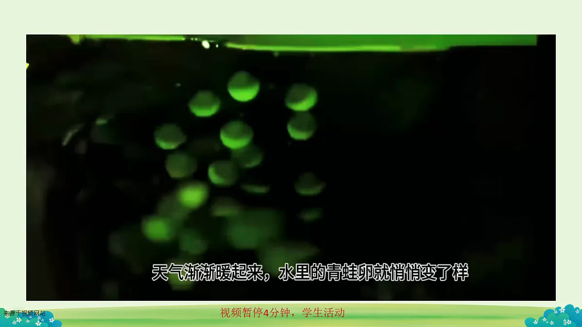 18652752第6页