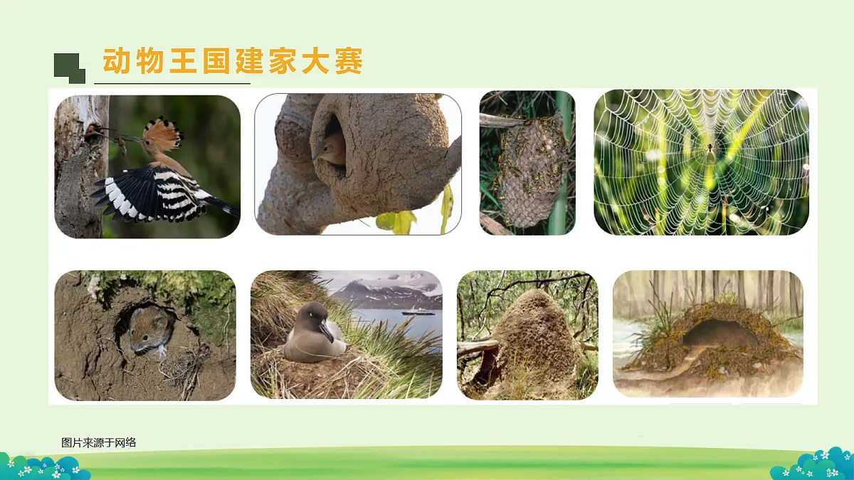 18652827第2页