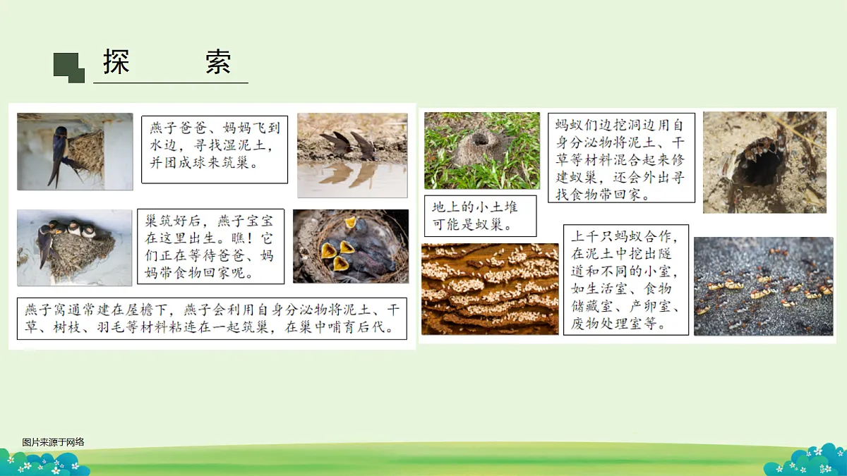 18652827第7页