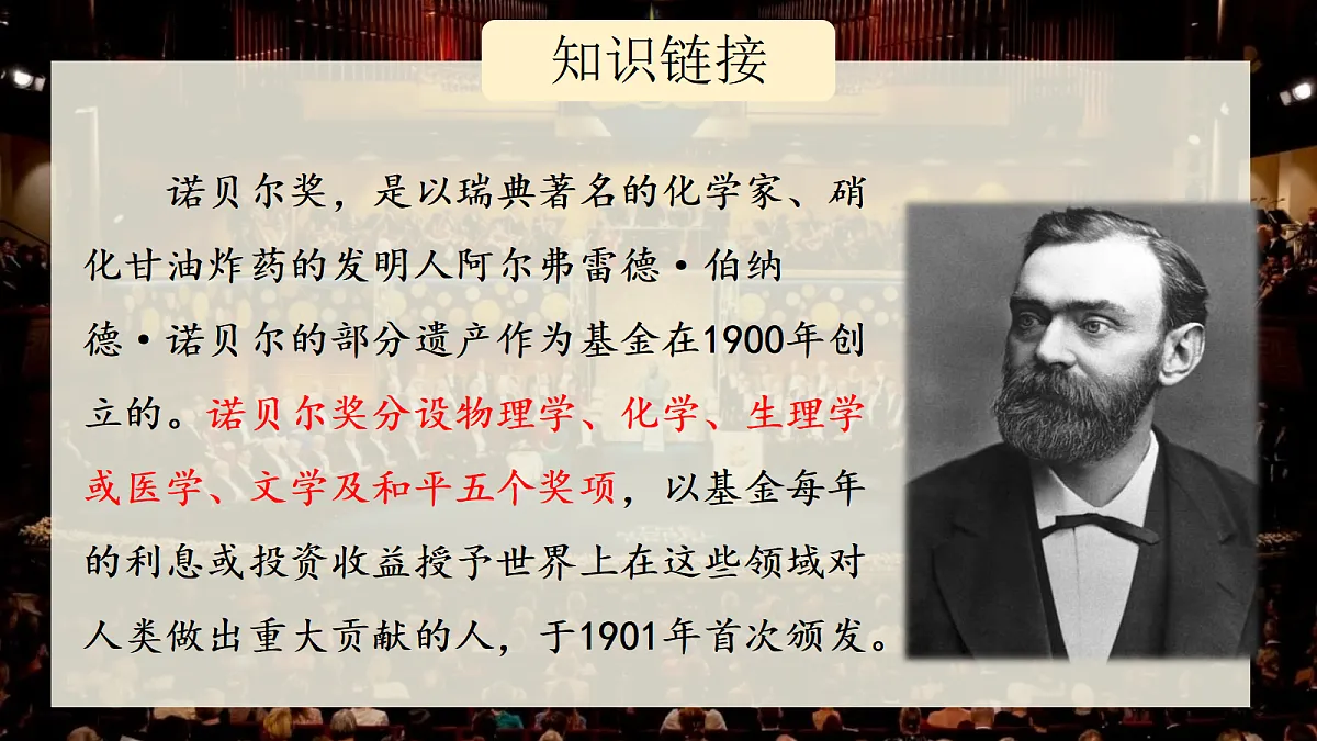 18653144第4页