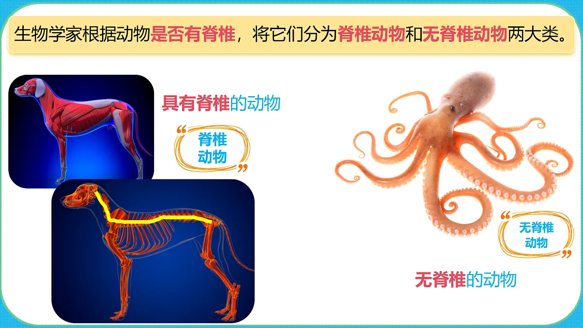 苏教版(2024)四上科学 1单元 《1 给动物分类》课件PPT第8页
