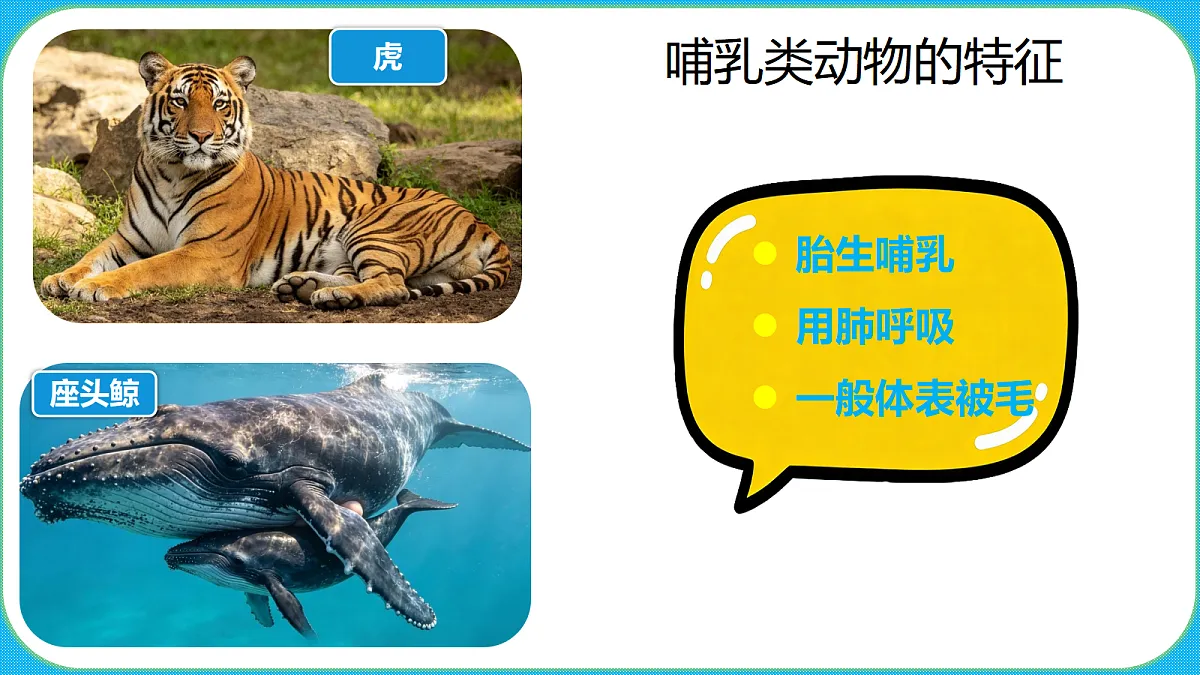 苏教版(2024)四上科学 1单元 《4 哺乳类》课件PPT第8页