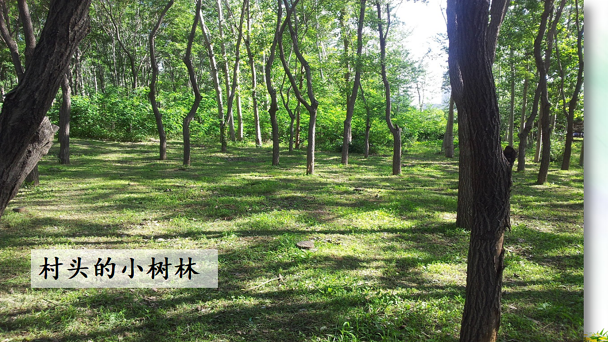 18658438第6页