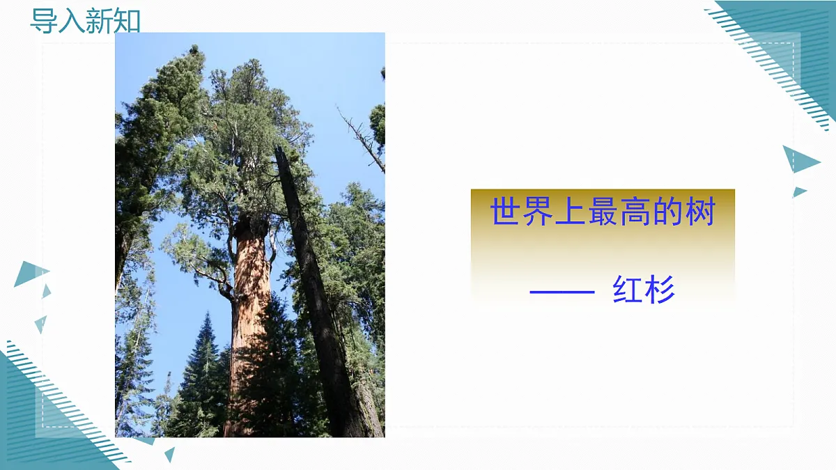 2026学年新华东师大版初中数学九年级上册22.3.4 相似三角形的应用课件第4页