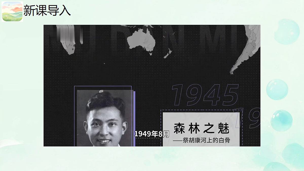 18665901第2页