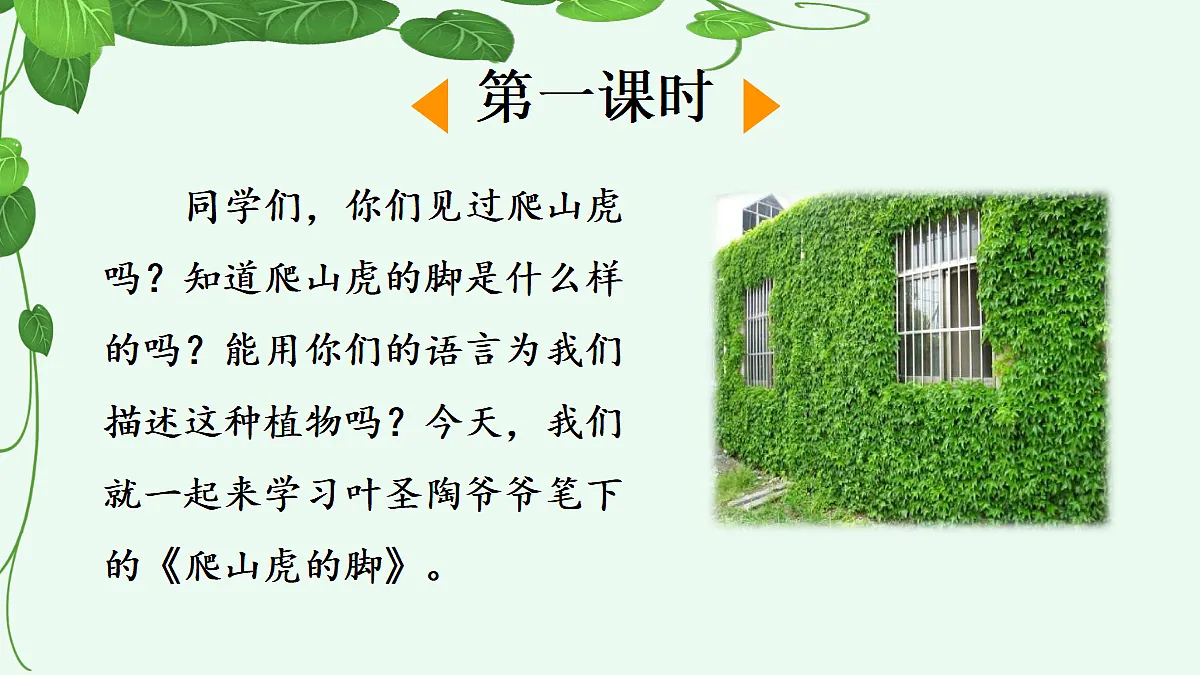 9 爬山虎的脚【精华版】第2页