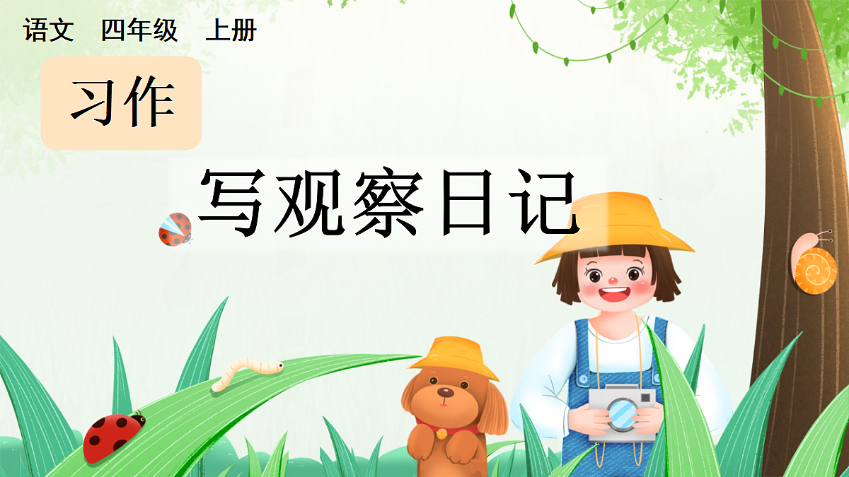 习作:写观察日记【上课课件精华版】第1页