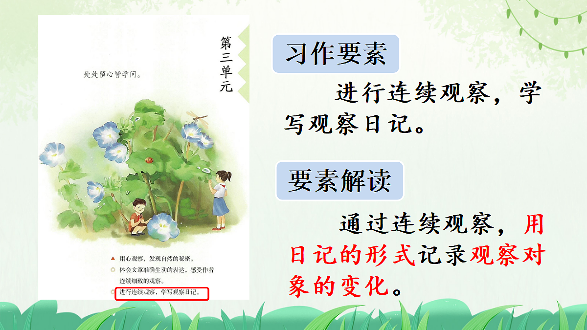 习作:写观察日记【上课课件精华版】第3页