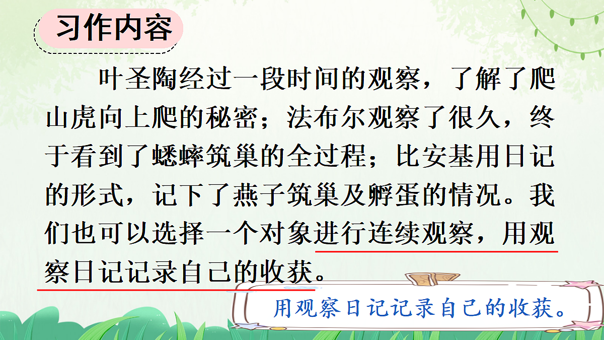 习作:写观察日记【上课课件精华版】第4页