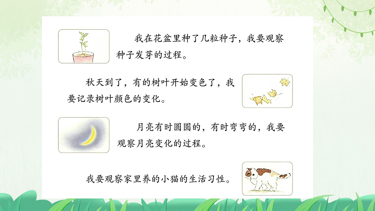 习作:写观察日记【上课课件精华版】第5页