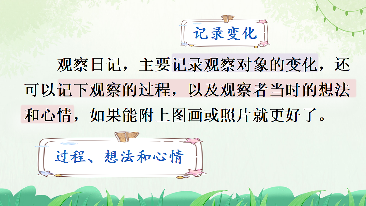 习作:写观察日记【上课课件精华版】第6页