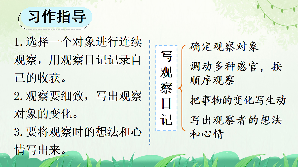 习作:写观察日记【上课课件精华版】第7页