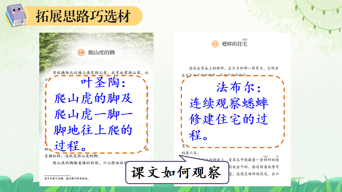 习作:写观察日记【上课课件精华版】第8页