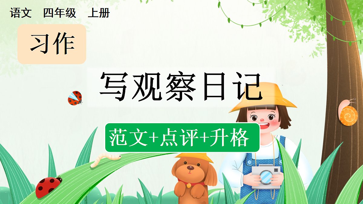 习作:写观察日记(范文+点评+升格)第1页