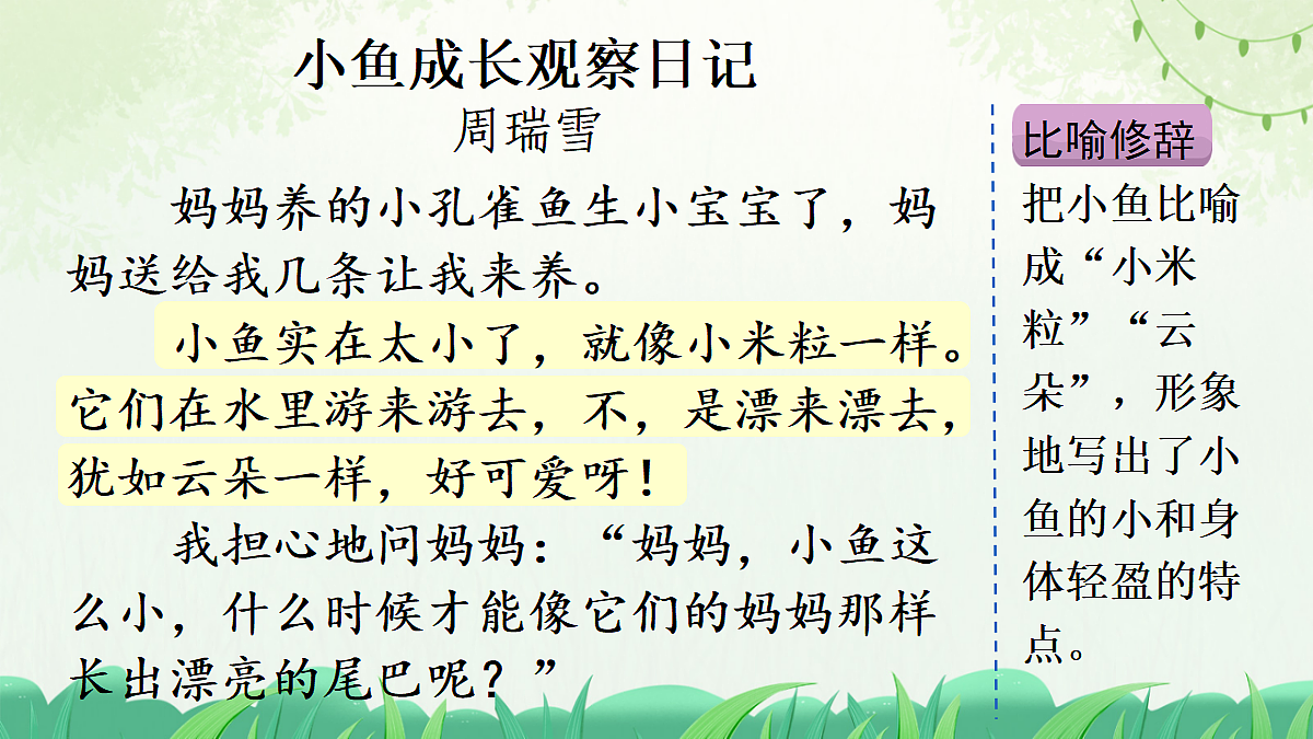习作:写观察日记(范文+点评+升格)第4页