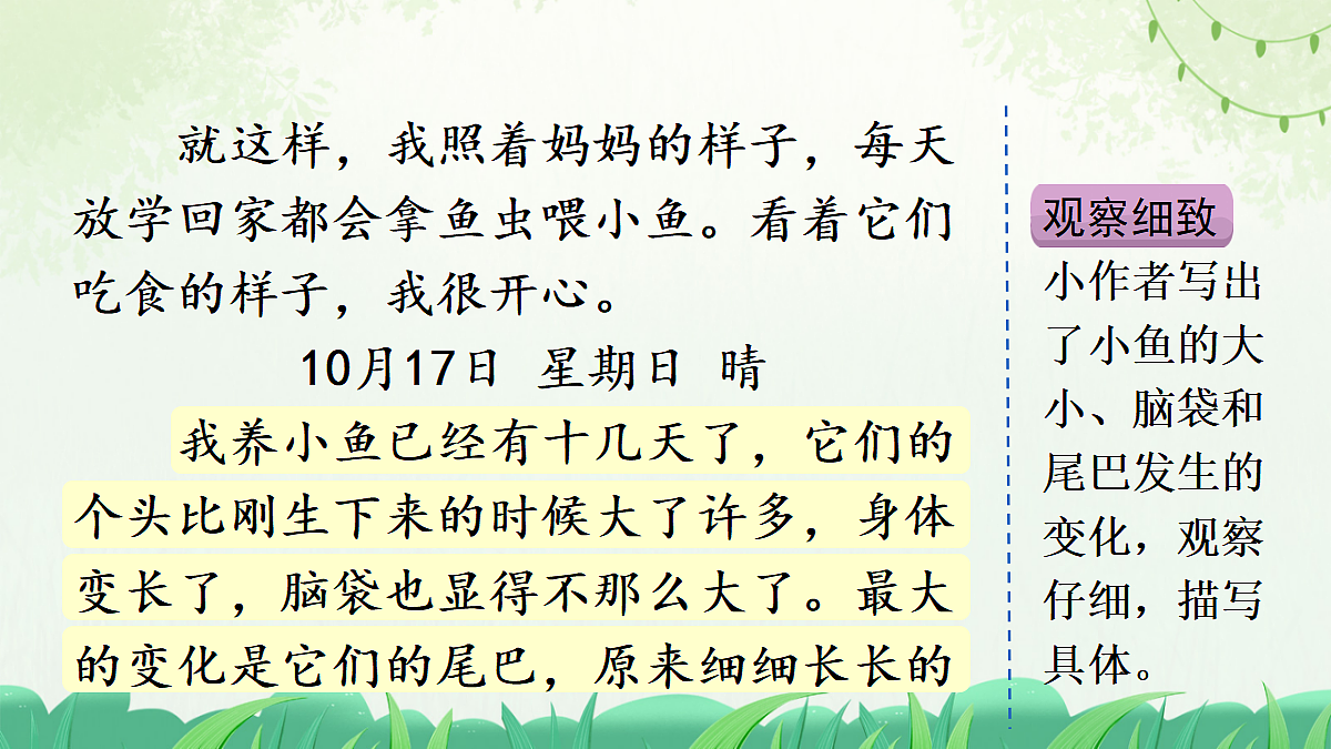 习作:写观察日记(范文+点评+升格)第6页