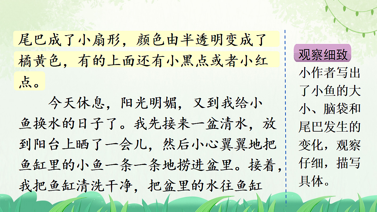习作:写观察日记(范文+点评+升格)第7页