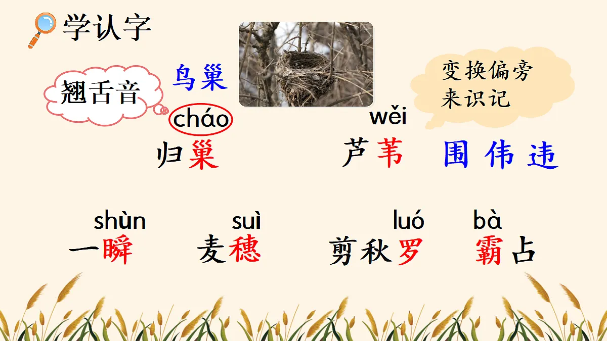 18666394第5页