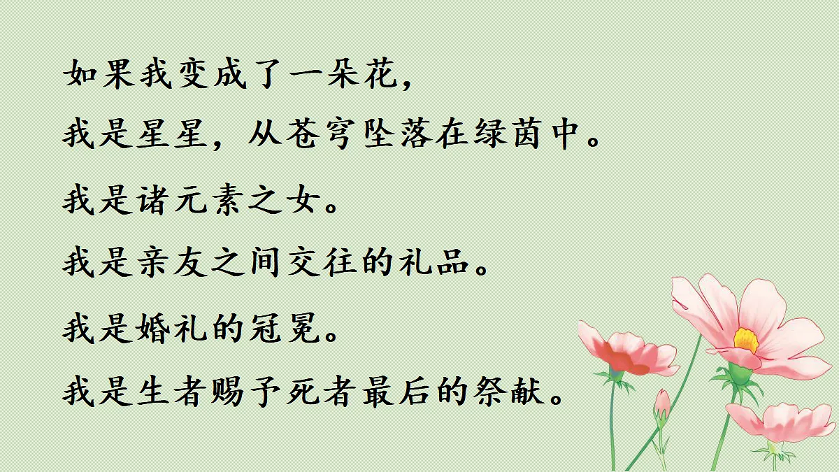 【教学课件】习作:变形记第1课时 第2页
