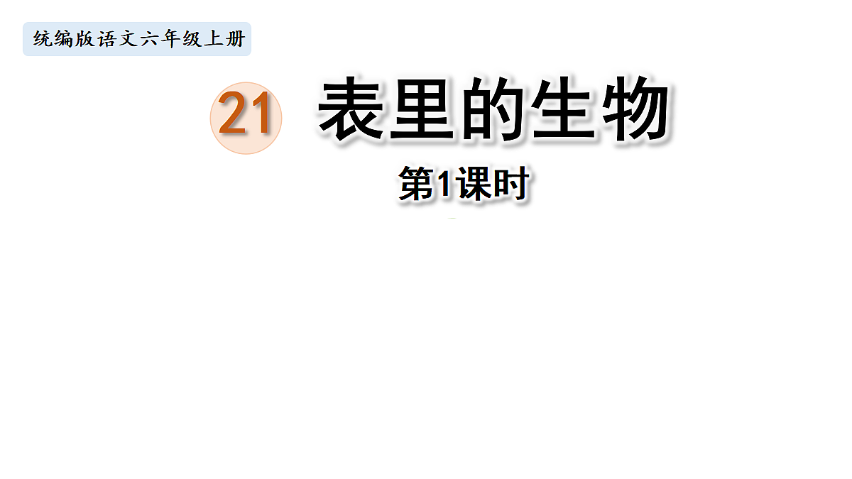【教学课件】21.表里的生物第1课时第1页