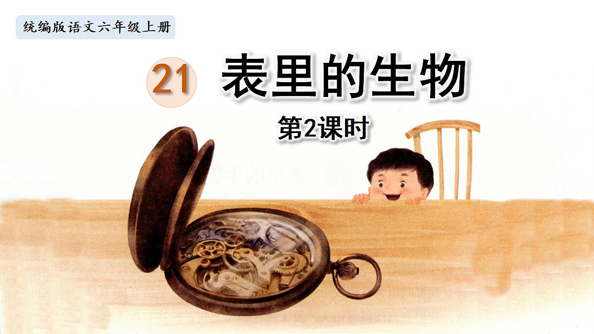 【教学课件】21.表里的生物第2课时第1页