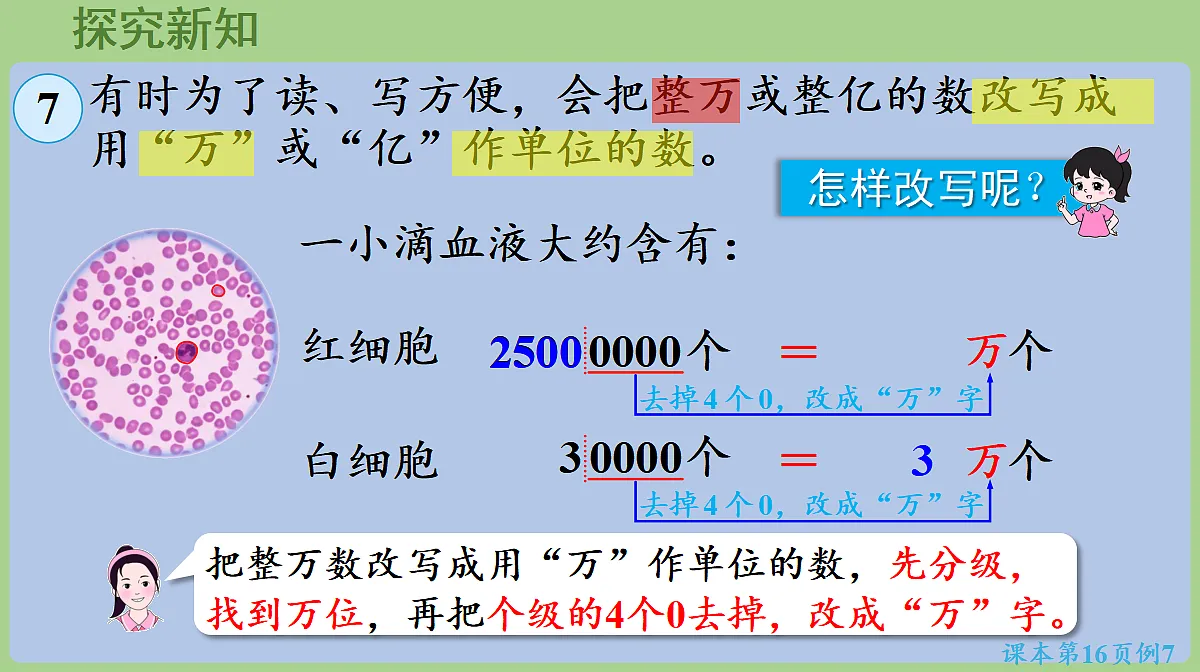 18667922第5页