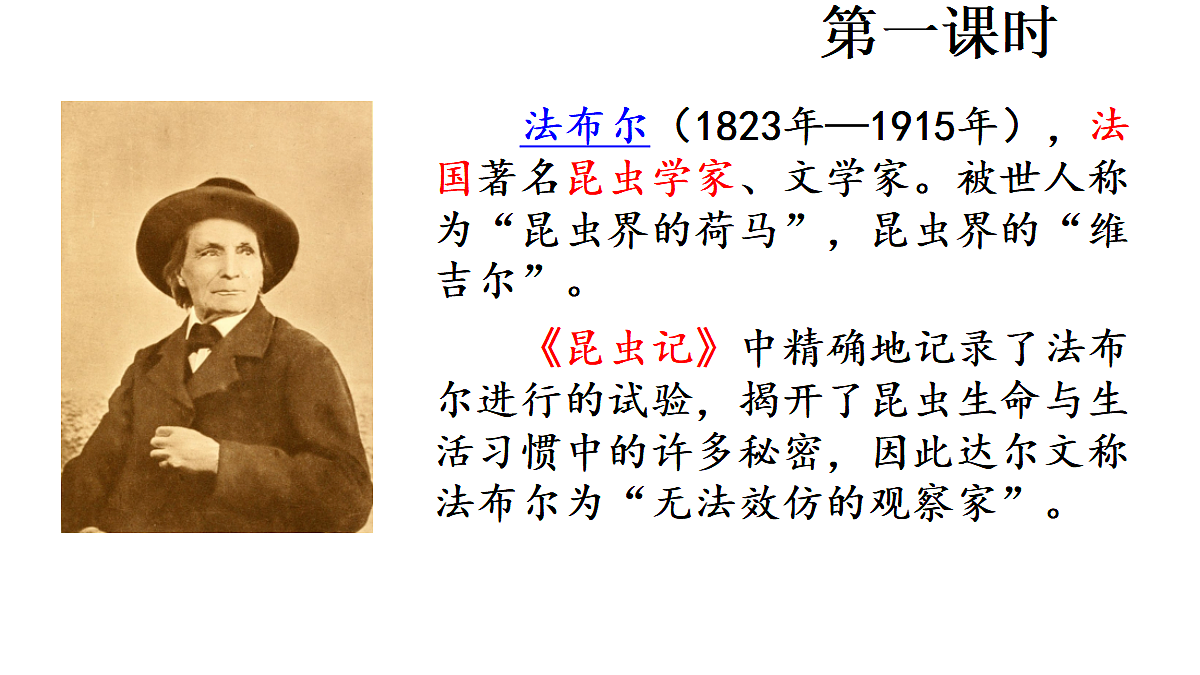 18669885第2页