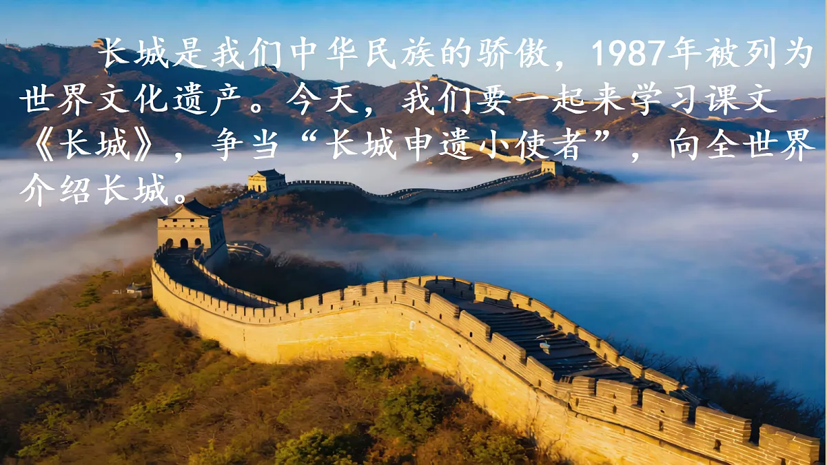 18669892第3页