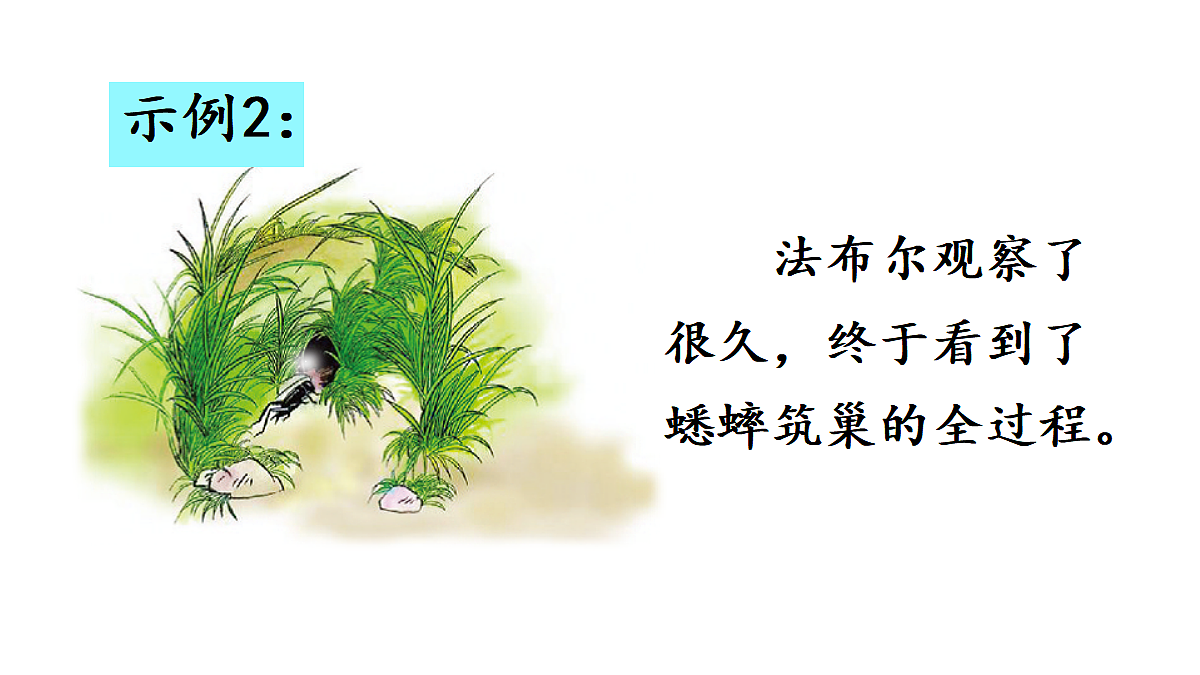 18669908第4页