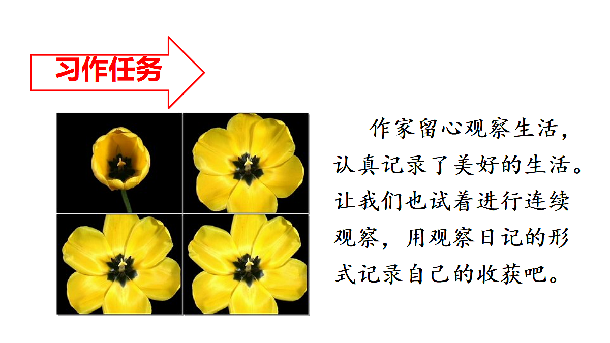 18669908第6页