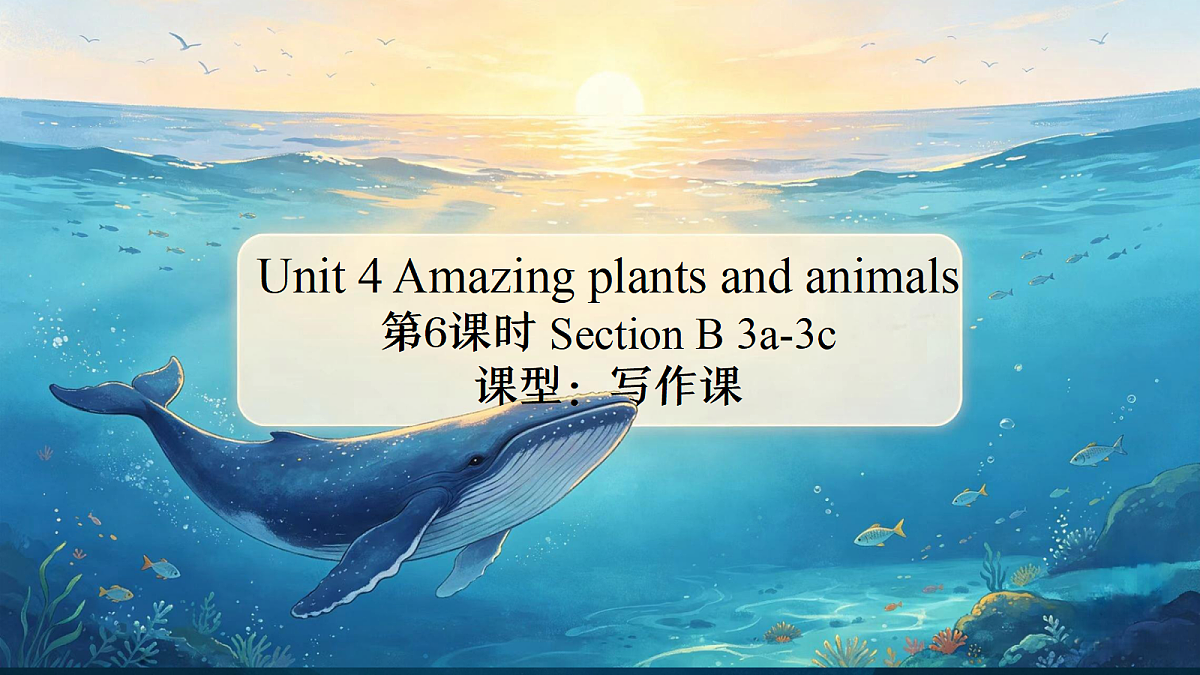 18672085第1页