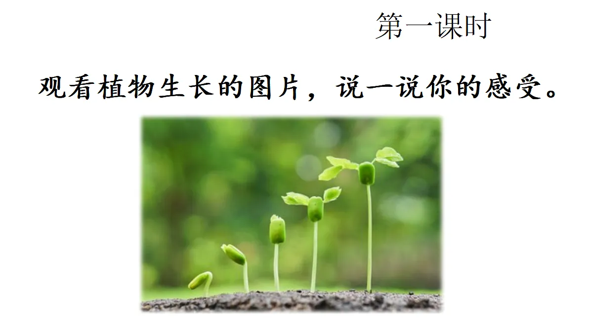 18672332第2页