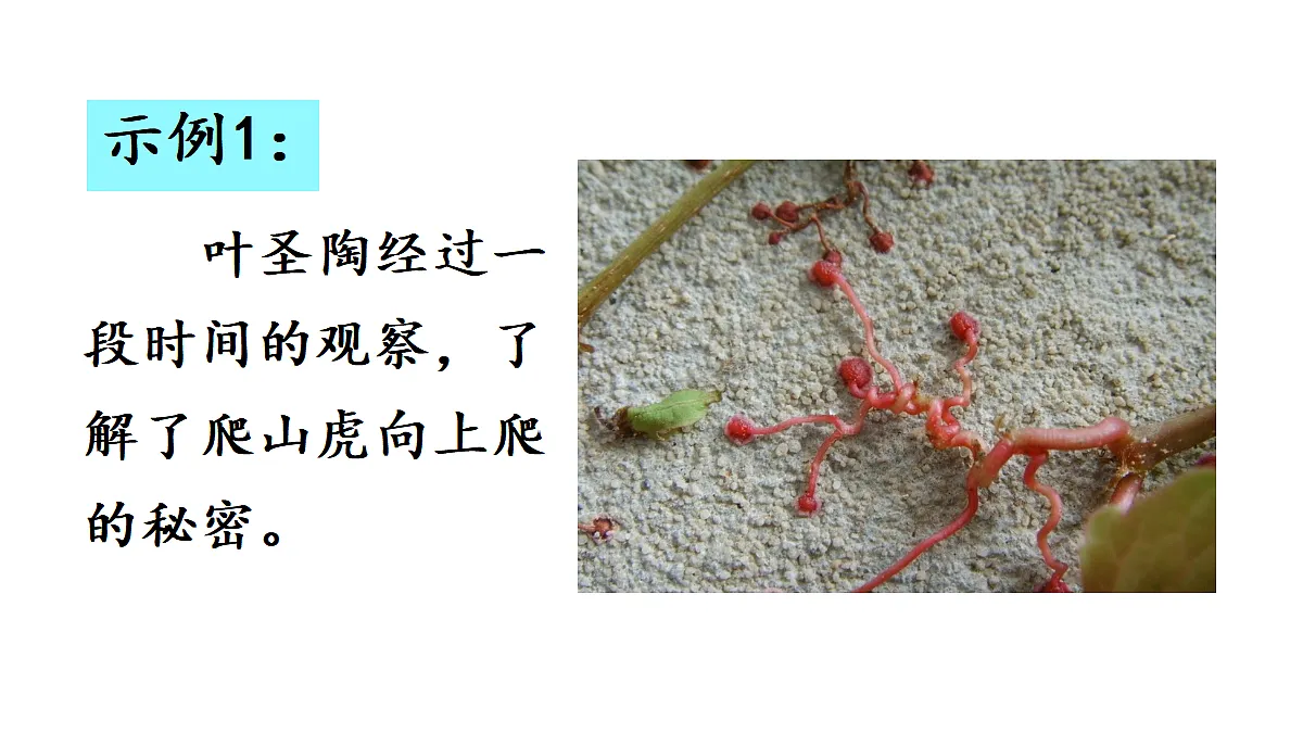 18672332第3页