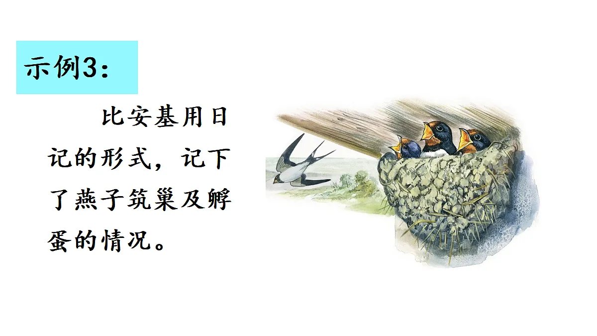 18672332第5页