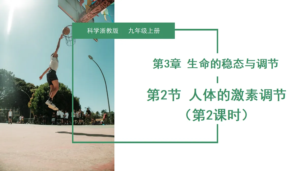 18672989第1页